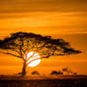 Meet your Posher, Amoyar